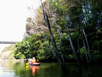 2012.4.8 今シーズン初漕ぎ IN 亀山湖 ♪