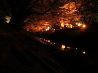 2012.4.10　春の夜の夢？