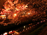 2012.4.10　春の夜の夢？