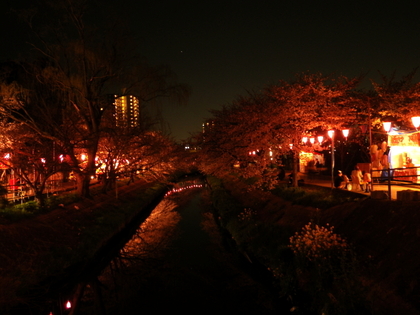 2012.4.10　春の夜の夢？