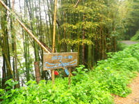 川旅 四万十川 ～ 後編～