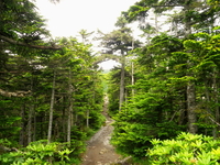 のんびり山歩き♪