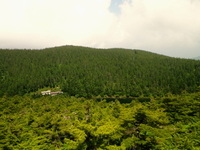 のんびり山歩き♪