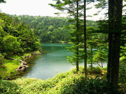 のんびり山歩き♪