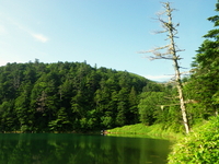 のんびり山歩き♪