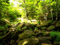 のんびり山歩き♪