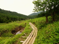 のんびり山歩き♪