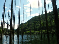 湖上散策♪