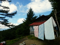 のんびり雲取山 ♪