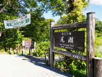 てくてく至仏山♪