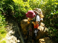 てくてく至仏山♪