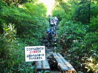 てくてく至仏山♪