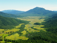 てくてく至仏山♪