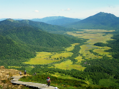 てくてく至仏山♪
