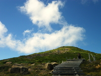 てくてく至仏山♪