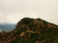 てくてく至仏山♪