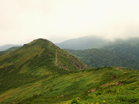 てくてく至仏山♪