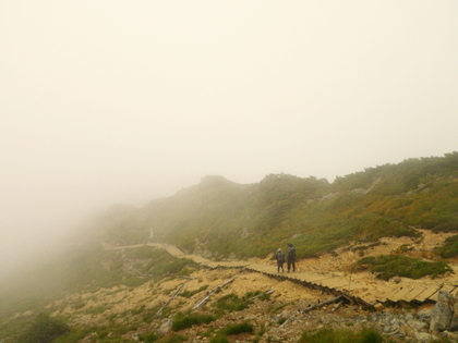 てくてく至仏山♪