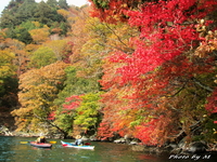 紅葉の中禅寺湖 ♪