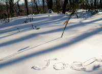 2011 ~ 2012 Winter season に向けて ♪
