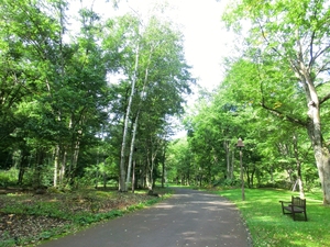 女子サイクリング同好会発足！　in　滝野すずらん公園