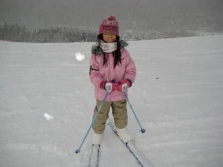 ２０１０年末あれこれ。
