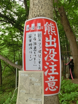 山場放浪記　IN　三角山