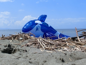 北海道の夏の終わり！今年最後の海かな？　