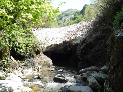 4/末～5/末の釣行