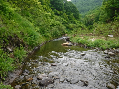 4/末～5/末の釣行