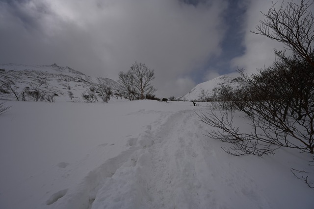 厳寒の那須岳