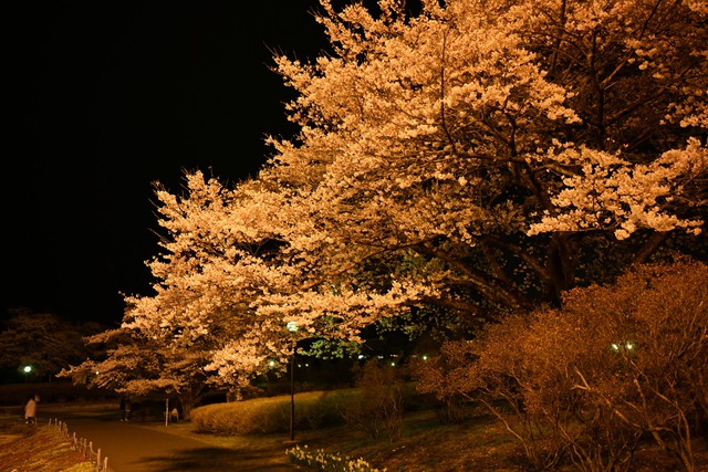 地元の公園へ2