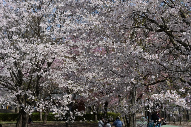 地元の公園へ2