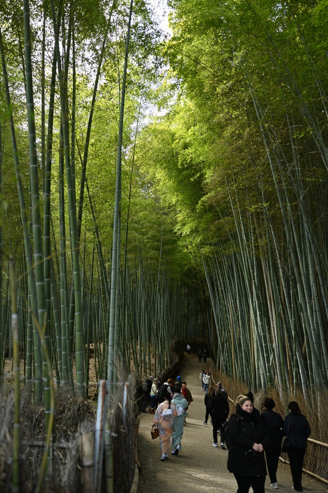 京都弾丸？ツアー三日目