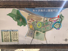 糸ヶ浜海浜公園キャンプ場サイト情報 2020/12/11 21:04:42