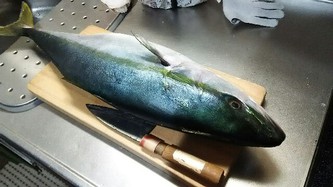 ぶり、久しぶりね