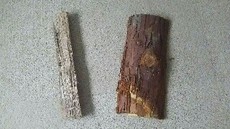 ナチュラムの薪のレポ
