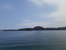 それぞれの春