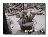 珍しく吹雪いています 2014/02/08 13:42:31