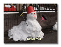 ヒカタムと雪 2014/02/11 23:02:05