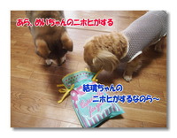 バレンタインデーだったんだよね。 2014/02/19 22:09:58