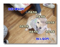多夢太郎、生還 2014/06/05 23:36:12