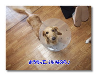 糸が切れた（？）多夢太郎 2014/06/12 22:17:36