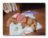 ありがとう。 2014/06/24 23:13:32