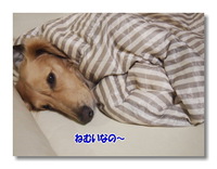 お久しゅうございます 2014/01/31 19:56:58
