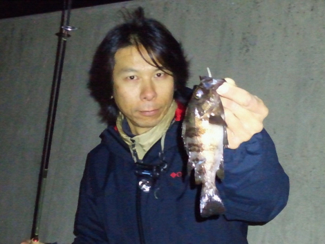 釣れるワーム