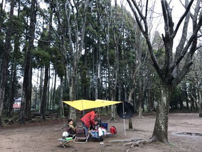 千代の富士会　平成二十九年 春場所