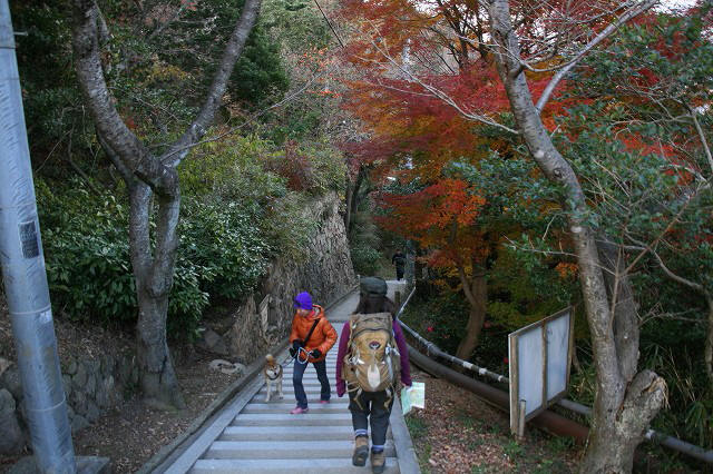＊　突然　六甲全山縦走コースにチャレンジ　＊　須磨アルプス