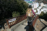 ＊　突然　六甲全山縦走コースにチャレンジ　＊　須磨アルプス