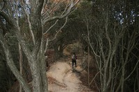 ＊　突然　六甲全山縦走コースにチャレンジ　＊　須磨アルプス